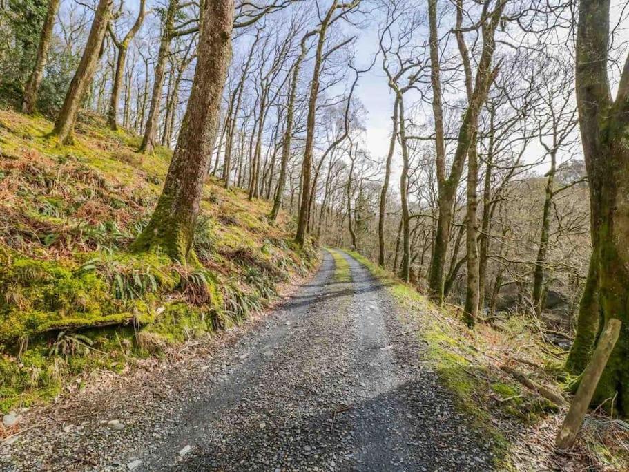 Pandy Farm - Waen Fechan Dolgellau Kültér fotó